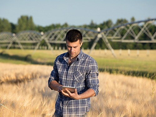 Corban University Announces Agribusiness Concentration Launching in Fall 2018